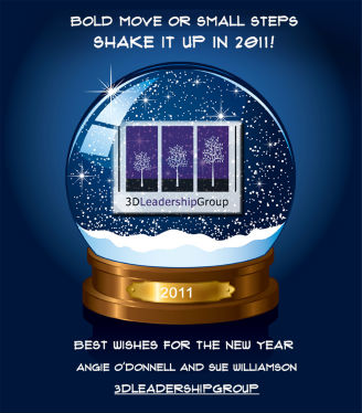 3D Leadership Group, Holiday e-Card