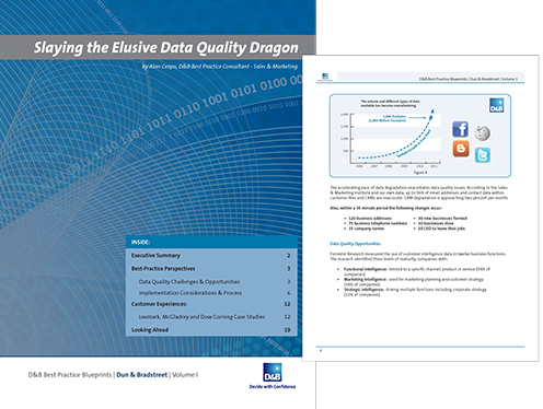 Best Practice Blueprints, D&B - art direction, design, info graphics