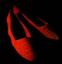 Teleflora, marketing collateral photography