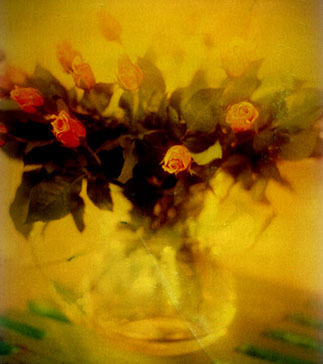 Teleflora, marketing collateral photography