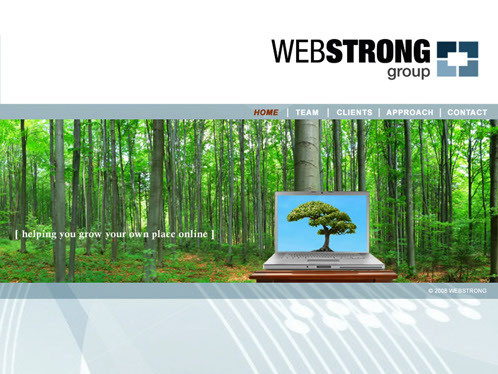WebStrong Group - website design